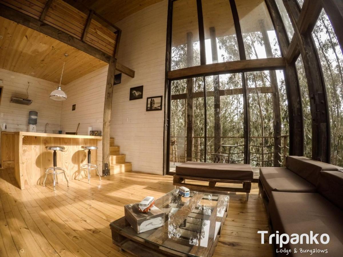 Tripanko Lodge & Bungalows Пичилему Екстериор снимка