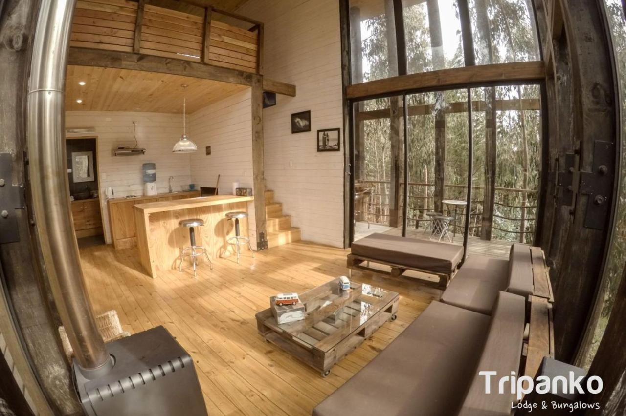 Tripanko Lodge & Bungalows Пичилему Екстериор снимка