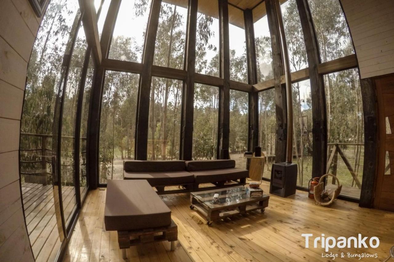 Tripanko Lodge & Bungalows Пичилему Екстериор снимка