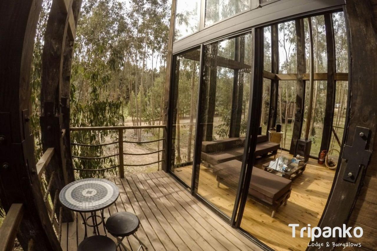 Tripanko Lodge & Bungalows Пичилему Екстериор снимка