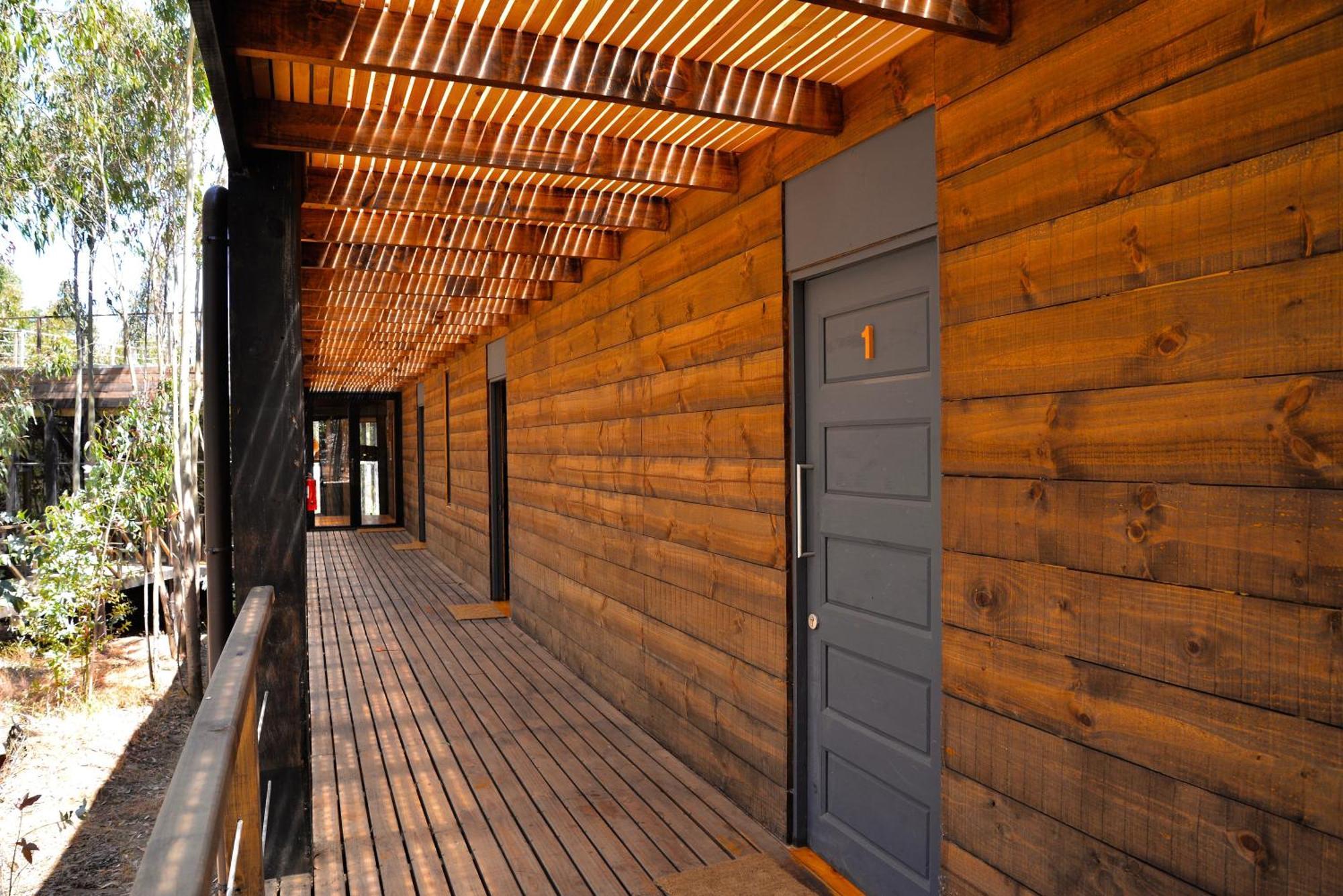 Tripanko Lodge & Bungalows Пичилему Стая снимка