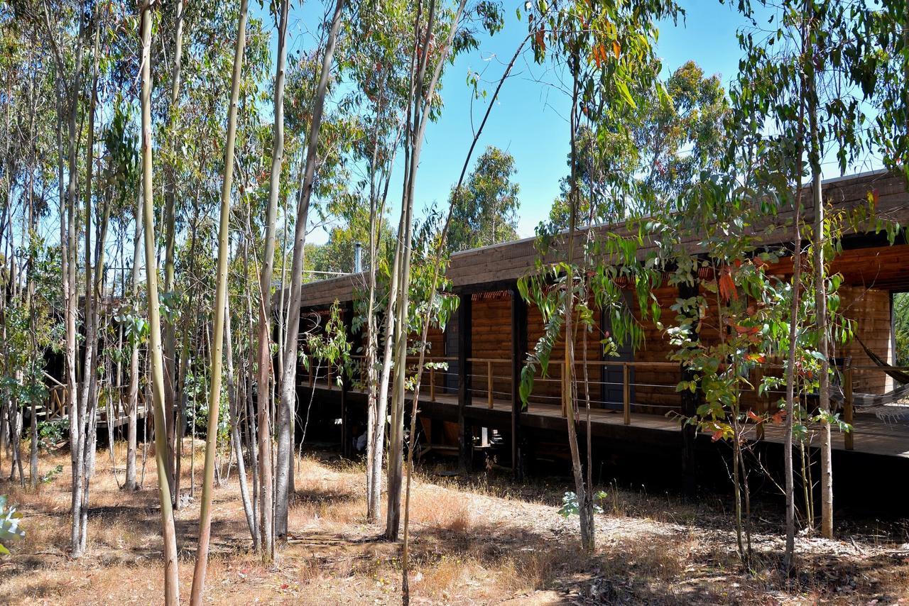 Tripanko Lodge & Bungalows Пичилему Екстериор снимка