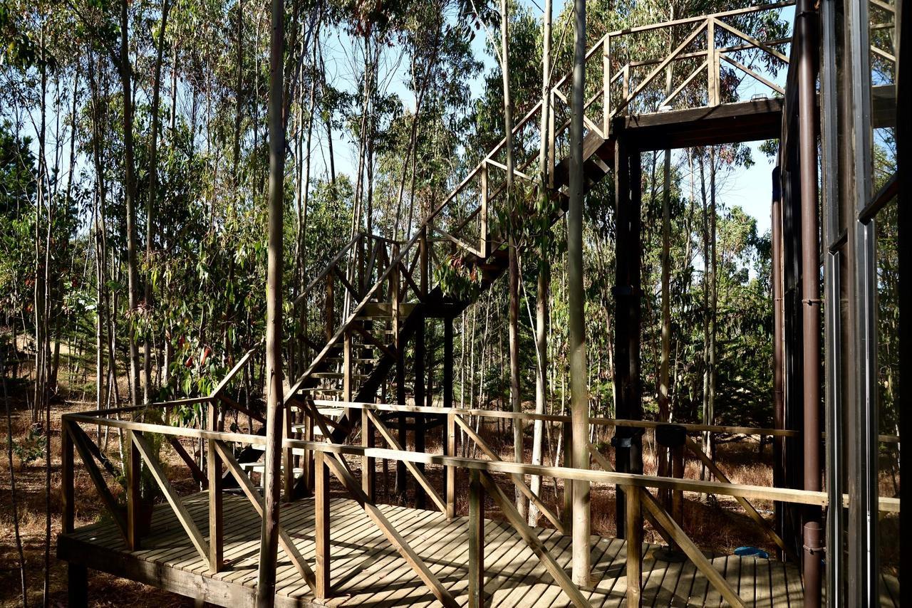 Tripanko Lodge & Bungalows Пичилему Екстериор снимка