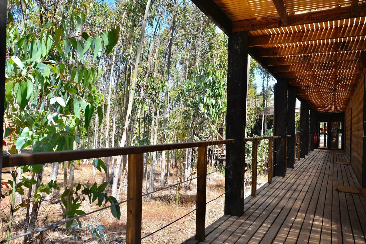 Tripanko Lodge & Bungalows Пичилему Екстериор снимка