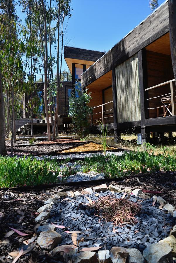 Tripanko Lodge & Bungalows Пичилему Екстериор снимка