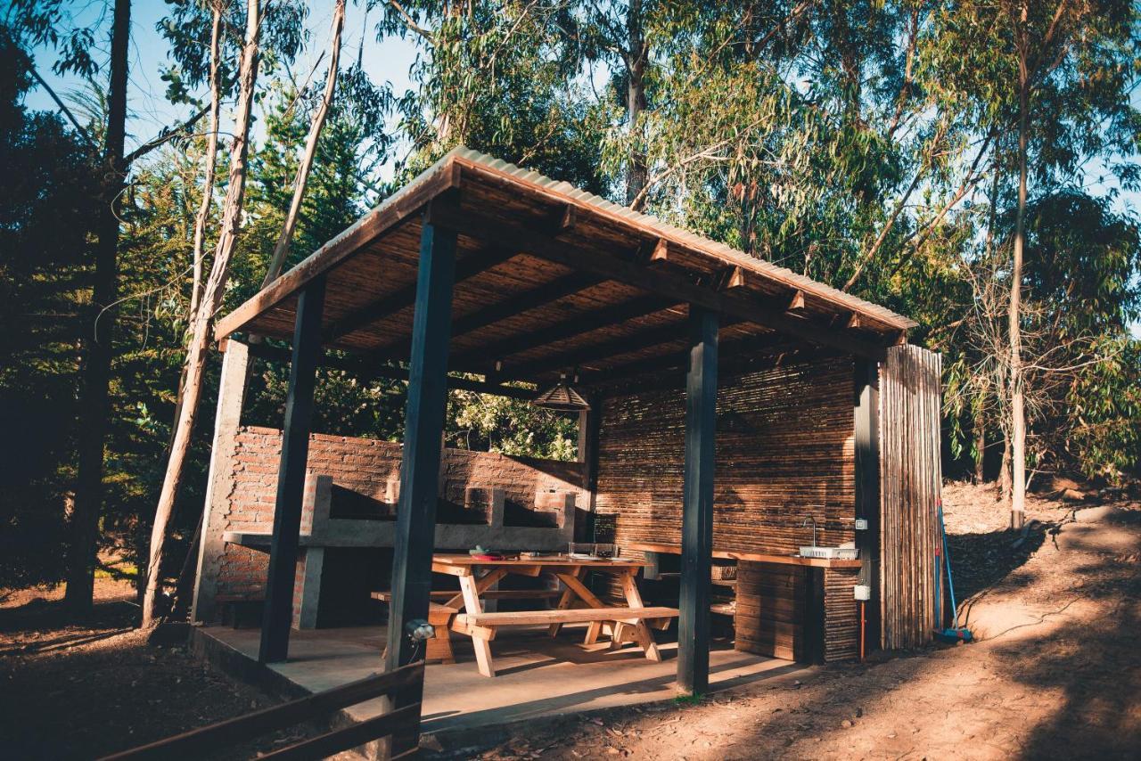 Tripanko Lodge & Bungalows Пичилему Екстериор снимка