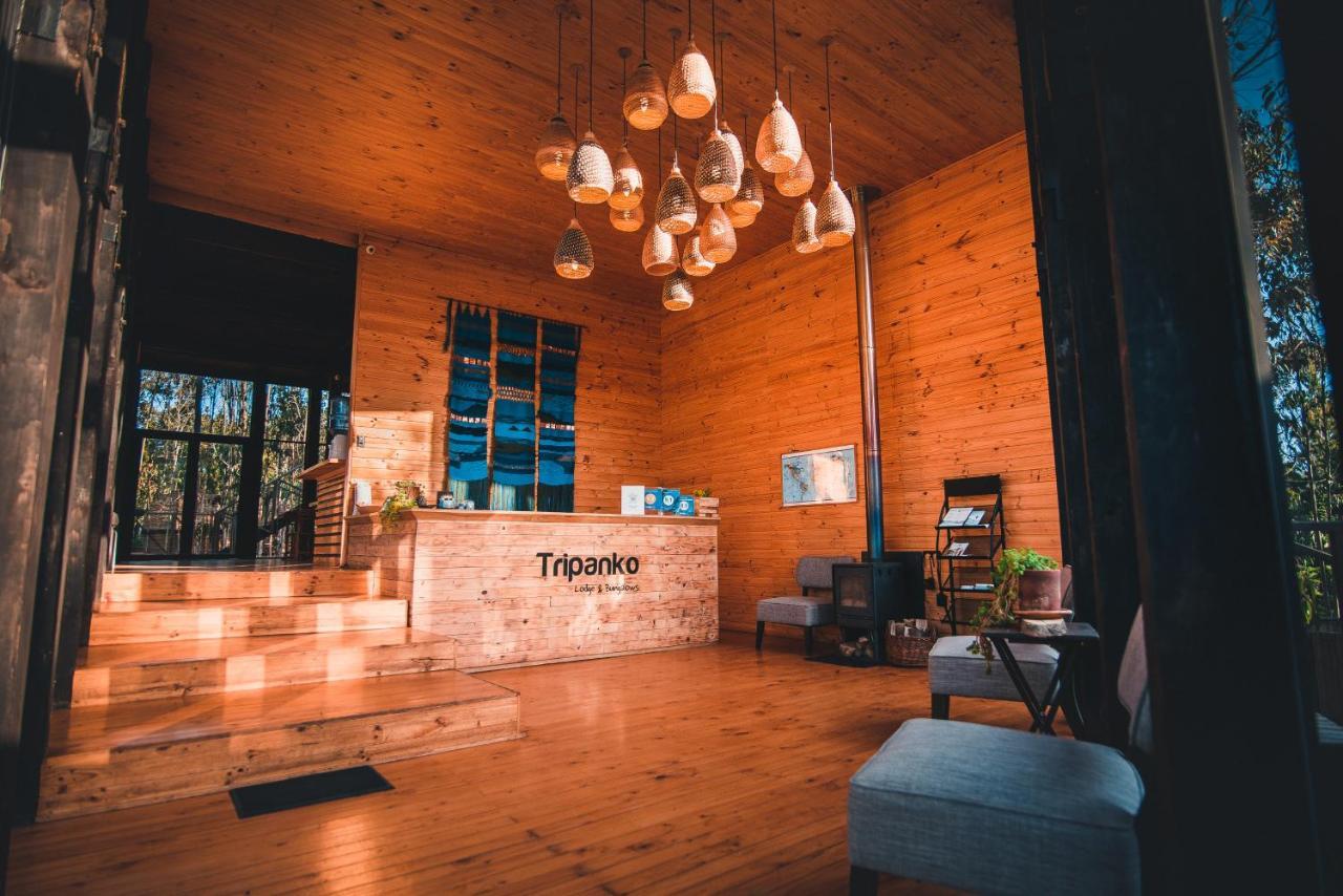Tripanko Lodge & Bungalows Пичилему Екстериор снимка